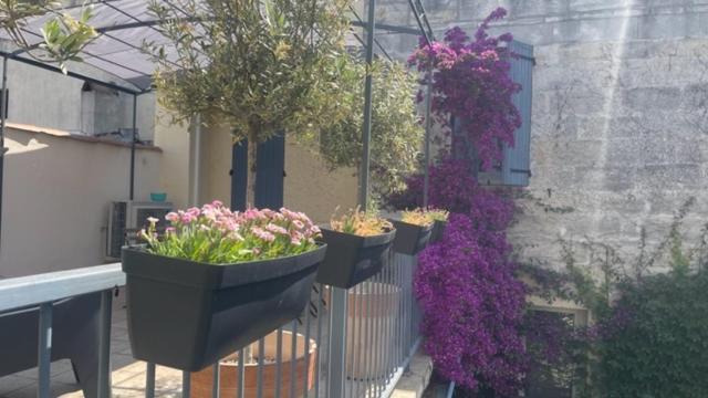 Le Grand Rouget Lägenhet Beaucaire  Exteriör bild